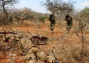 Cyber focus unveiled at Justified Accord 23 final planning event | Article