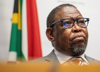 FBI alerts Hawks about cyber-attack at SA Reserve Bank