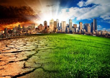 88% Of Africans Impacted By Climate Change—Survey