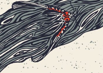 Hackers, Hoodies, and Helmets: Technology and the changing face of Russian private military contractors