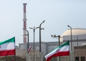 Iran says ‘specific foreign country’ behind hacktivist leak of atomic energy emails