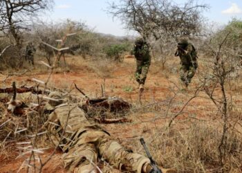 Cyber-focus Unveiled at Justified Accord 23 Final Planning Event