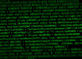 Raspberry Robin Worm Strikes Again, Targeting Telecom and Government Systems