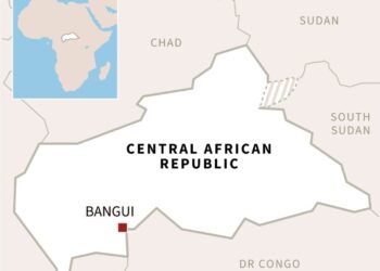 France accused as parcel bomb wounds Russian in Central Africa