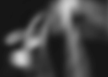 Online fraud during the holidays. Notes on cyber phases of the hybrid war. US National Cyber Director to retire.