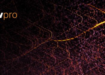 Ukraine at D+306: Negotiation as false light.