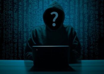 Americans duped into losing $10 billion by illegal Indian call centres in 2022: Report