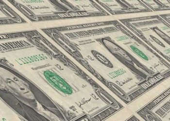 America Embracing Protectionism: A Glaring Contradiction of the Liberal Globalized Trade Order?