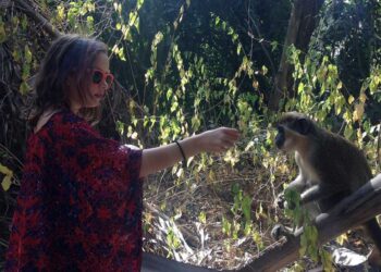 Monkey Business – Modern Diplomacy