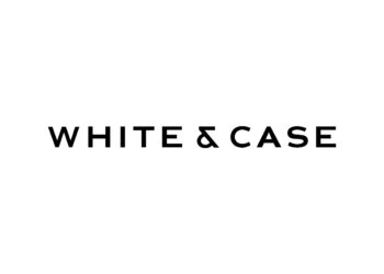 Proxy Advisory Firms Issue 2023 Voting Guidelines | White & Case LLP