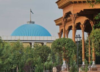 Emerging economic partnerships without Russia: the shifting cooperation formats in Central Asia