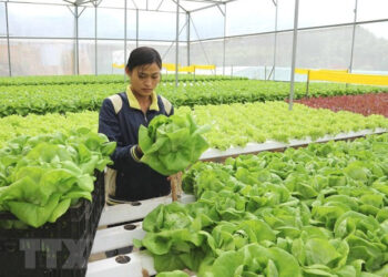 VIETNAM BUSINESS NEWS DECEMBER 27