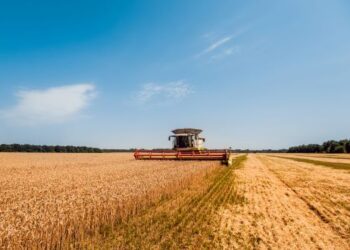 New partnership to harness data networks to tackle cybercrime and food security