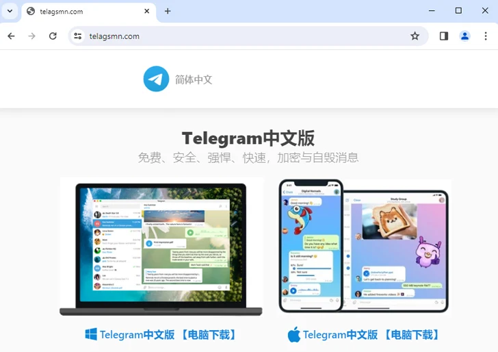 Malicious Ads on Google
