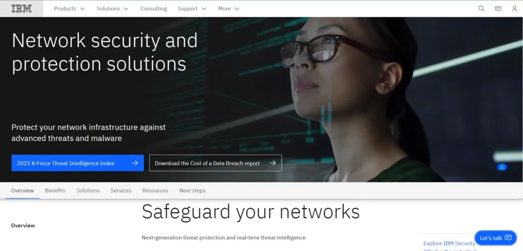 Network Security Providers for Government 