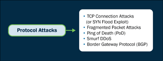 Protocol-Based Attacks 