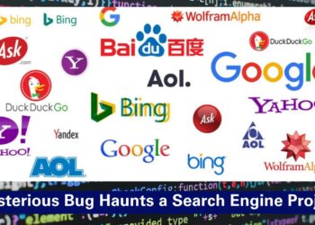 Index Bug Haunts a Tech Company’s Search Engine Project